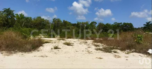 Excelente Terreno En Alfredo V. Bonfil / Cancun 1998m2