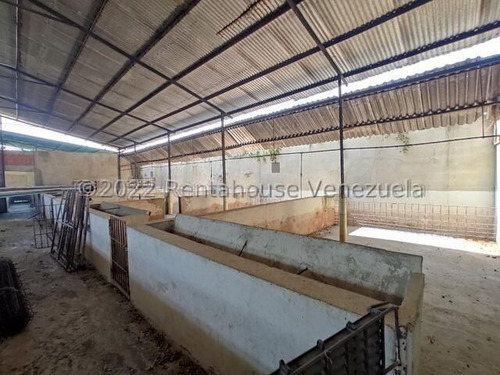 Imagen 18 de 20 de Casa En Venta En Zona Centro Santa Cruz De Aragua 22-24564 Irrr