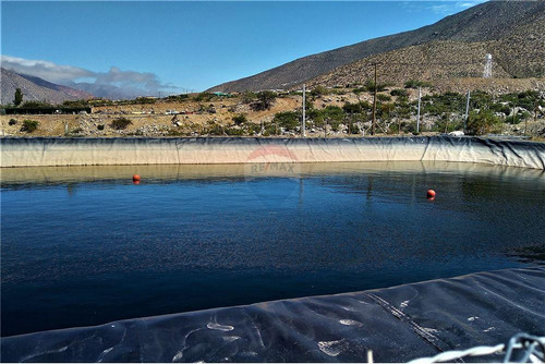 Campo En Venta - Colliguay- Iv Region-paltas
