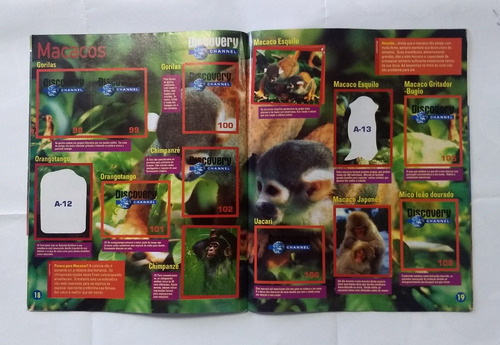 Álbum De Figurinhas Explorando O Reino Animal - Incompleto (Usado)
