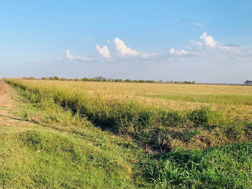 Lote - Estancia Las Moras - Ricardone - Todos Los Servicios