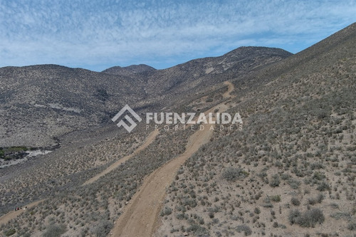 22 Parcelas De 5,000 M2 En Venta El Hinojal,valle De Elqui.