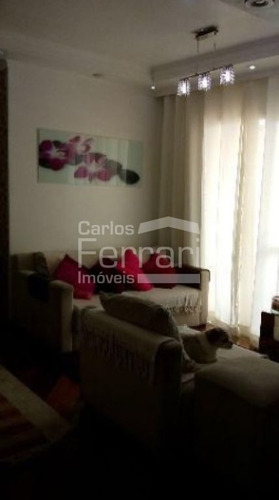 Imagem 2 de 13 de Excelente Localização Em Santa Teresinha - Cf18675