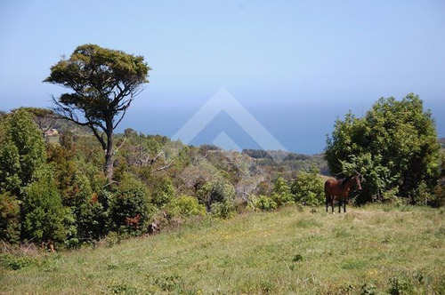 Parcelas En Venta En Caleta Estaquilla Los Muermos