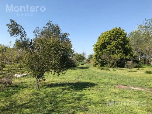 Imagen 15 de 25 de Venta Chacra San Miguel Del Monte