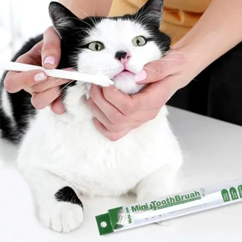 Cepillo De Dientes Para Gatos Perros Mascota Suave Higiene