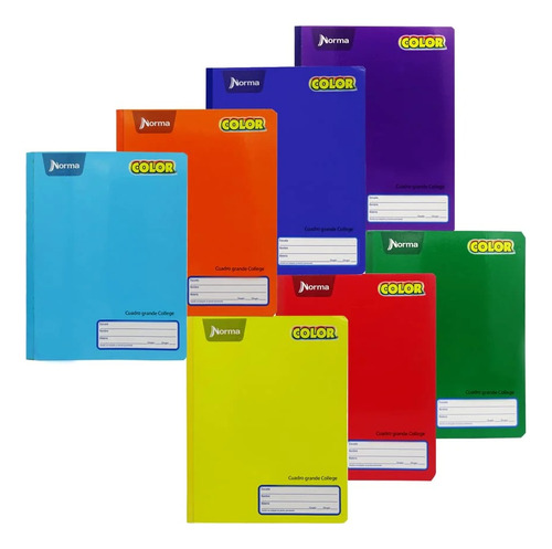 10 Cuadernos Norma Color College Cosido 100 Hojas