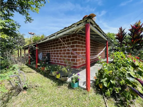 Se Vende Finca Productiva En San Roque, Antioquia.