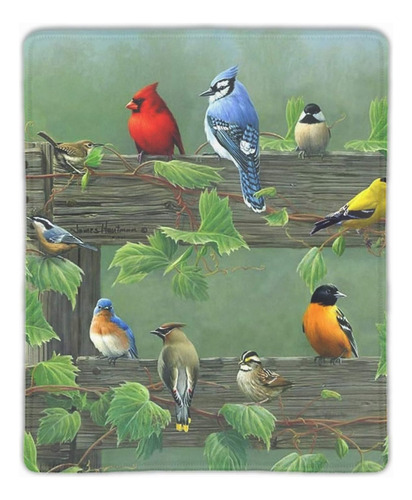 Alfombrilla De Ratón Song Bird Game Office Mouse Pad Mas G..