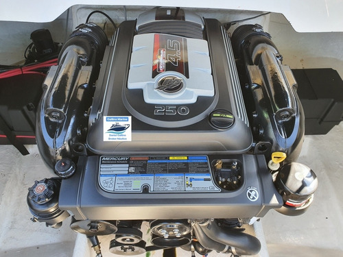 Imagen 14 de 15 de Lancha Arco Iris Eclipse 23 Open Mercruiser 250 Hp Pata B3