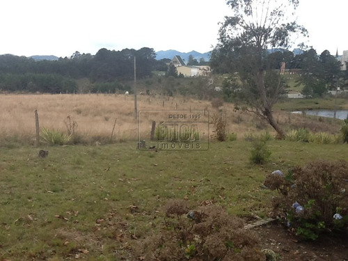 Imagem 12 de 30 de Chácara/fazenda/sítio Com 4 Dormitórios À Venda Por R$ 7.000.000,00 No Bairro Águas Claras - Piraquara / Pr - Ch1601