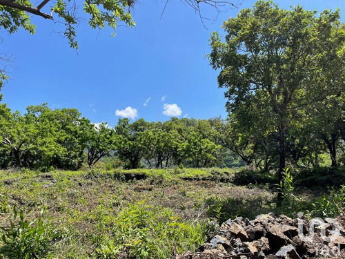 Venta Terreno 0 Ambiente Santo Domingo Ocotitlán