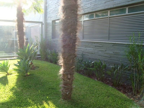 Imagem 7 de 15 de Apartamento - Panazzolo - Ref: 2911 - V-2911