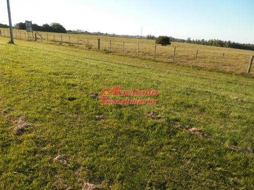 Imagen 3 de 4 de Venta De Chacras Manantiales
