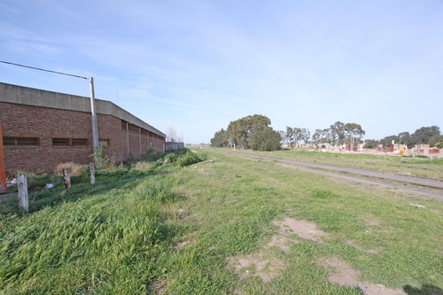 Imagen 3 de 13 de Galpones De Muy Buenas Construcción ,en Venta-permuta
