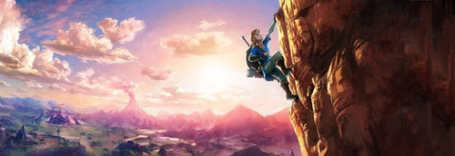 The Legend of Zelda: Breath of the Wild Standard Edition Nintendo Wii U Físico