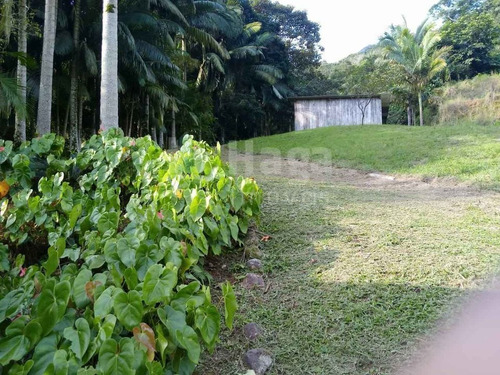 Imagem 4 de 17 de Sítio A Venda Em Massaranduba/sc - 1764c