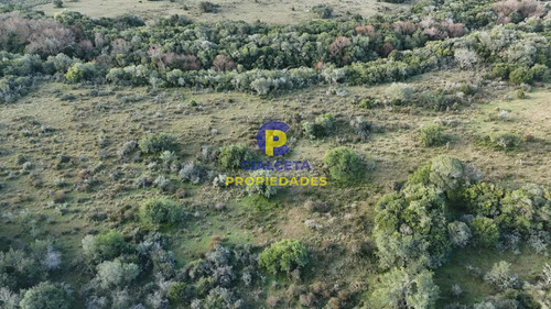 3 Hectáreas En Pueblo Edén Con Arroyo Y Monte Nativo