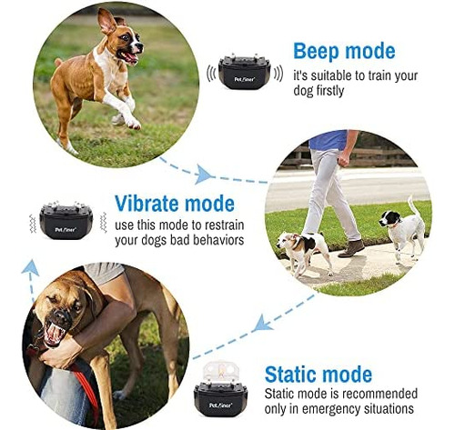 Petrainer Pet998drb2 Collar De Entrenamiento Para Perros Con