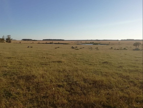 Chacras En Las Garzas, Ruta 10, Punta Del Este