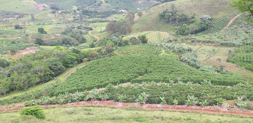 Imagem 13 de 15 de Fazenda, Para Venda Em Carangola/mg - Var1212ale