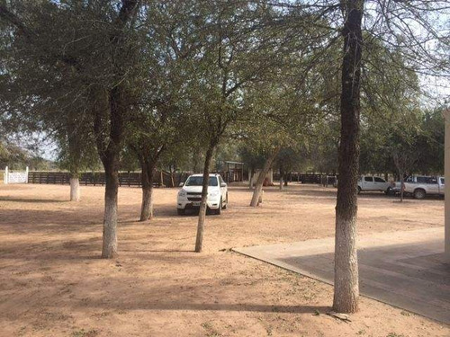 Imagen 9 de 18 de Venta Campo En Santiago Del Estero, Norte De Monte Quemado