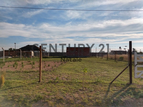 Imagen 3 de 5 de Terreno En Venta. Sicardi, 20 Bis Entre 672 Y 673. Escritura Directa