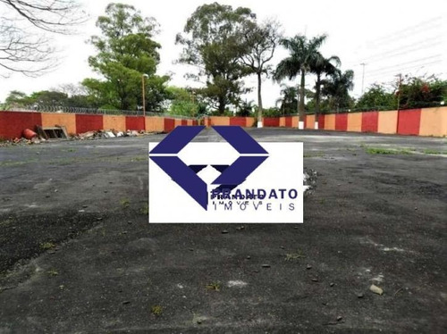 Imagem 6 de 14 de Oportunidade Terreno Campo Belo Com 1679 M² R$ 19.800.000,00 - Te0291