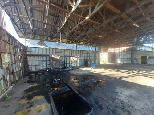 Se Arrienda Terreno A 200 Mts De Camino Principal, La Palma