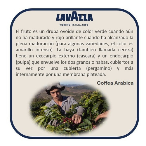 Imagen 7 de 8 de Cafe Italiano Lavazza Grand Hotel Molido 1 Kg + Cafe 226g