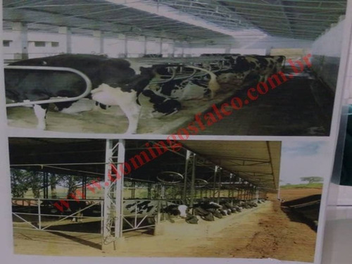 Imagem 7 de 13 de Venda - Fazenda - Zona Rural - Pouso Alegre - Mg - D0314