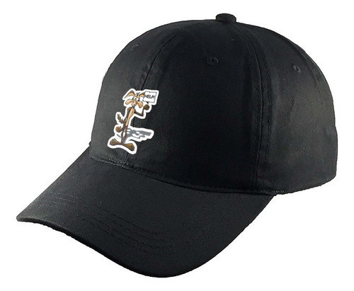 Gorra Clasica Algodón Negra Coyote Correcaminos R2