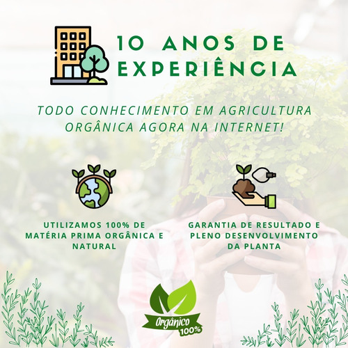 Adubo Super Simples 500ml Pomar/jardim Pronto Uso