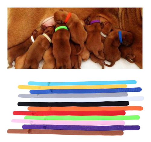 12x Collares For Cachorros Collares De Parto Coloridos Para.