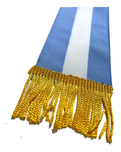 Banda Argentina Ceremonia Jura Lealtad Promesa A La Bandera