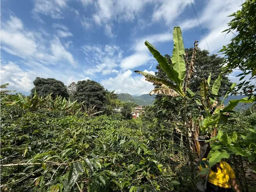 Se Vende Lote Vereda San Juan De Carolina