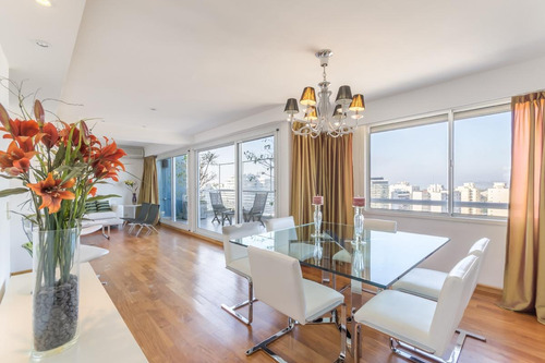 Imagen 3 de 23 de Excelente Triplex Pisos 17,18 Y 19 Con Terraza Propia, Vistas A La Ciudad Y Al Rio.