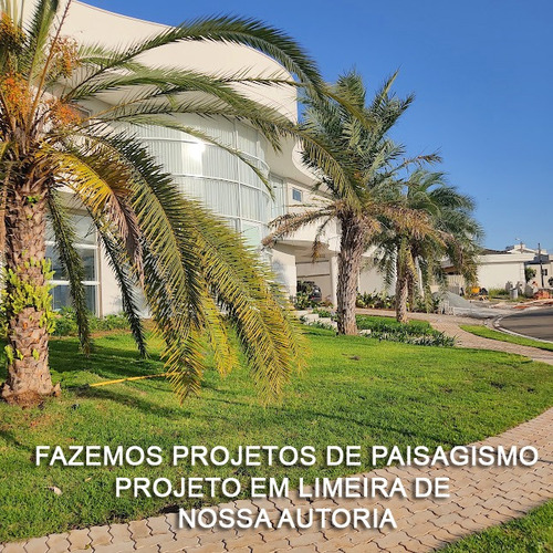 1 Muda De Grama Amendoim Ideal Para Paisagismo Jardins