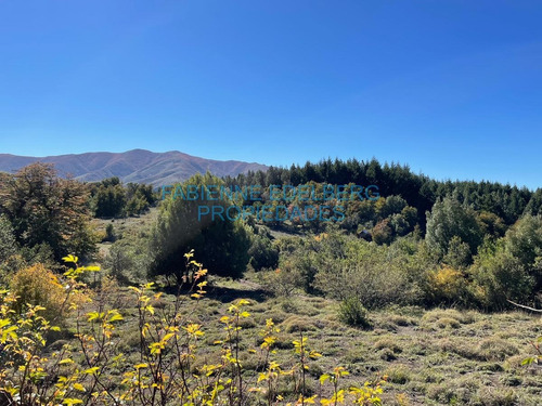 Imagen 19 de 21 de Terreno En Caleuche Mza 122 Lotes 1200 M2 - San Martin De Los Andes