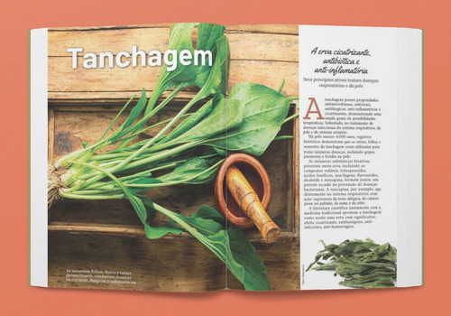 Livro - Plantas Antibióticas, De Marilua Feitoza. Editorial Editora Europa, Capa Mole, Edição 1 Em Físico, 2024