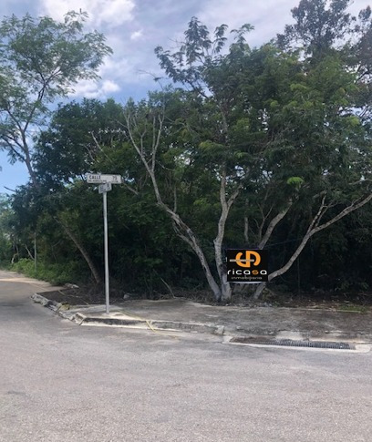 Imagen 2 de 15 de Venta De Lote En Residencial Del Mayab Temozon Norte