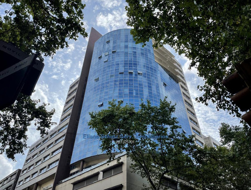 Imagen 11 de 12 de Venta Oficina Con Renta Torre De Los Profesionales Centro Cw175701