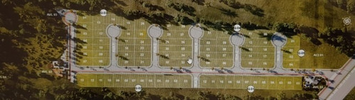Imagem 4 de 15 de Terreno À Venda Com 360 M² Na Praia De Canasvieiras Em Florianópolis/sc Ótima Oportunidade No Alameda Cézanne !!!! - Sc - Te0015_ccon