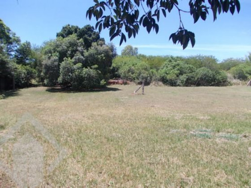 Imagem 2 de 10 de Terreno - Vila Nova - Ref: 122050 - V-122050