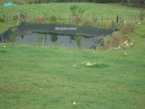 Se Vende Finca Idonea Para Su Proyecto