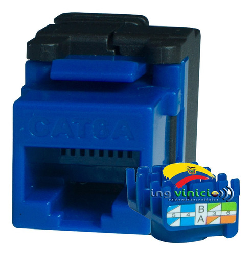 Conector Jack Rj45 Cat6 Powest Hembra Azul Cat6 Netkey