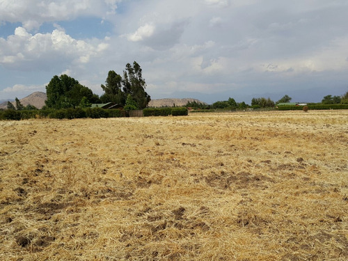 Parcela 10.000 M2 Condominio El Tranque, Polpaico Tiltil