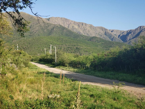 Imagen 4 de 16 de Hermosa Fracción De Bosque En La Zona Mas Alta!!!