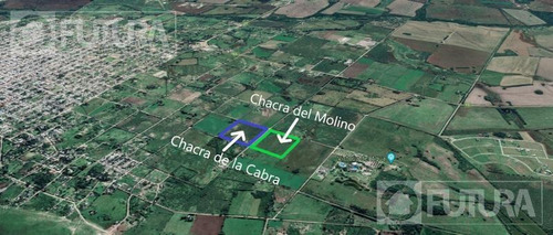 Imagen 8 de 9 de Terreno A 400mts De Las Termas De Victoria, Entre Rios