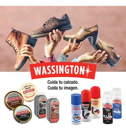 Protector Gamuza Y Nobuck Wassington Aerosol 180 Cm3 Neutro